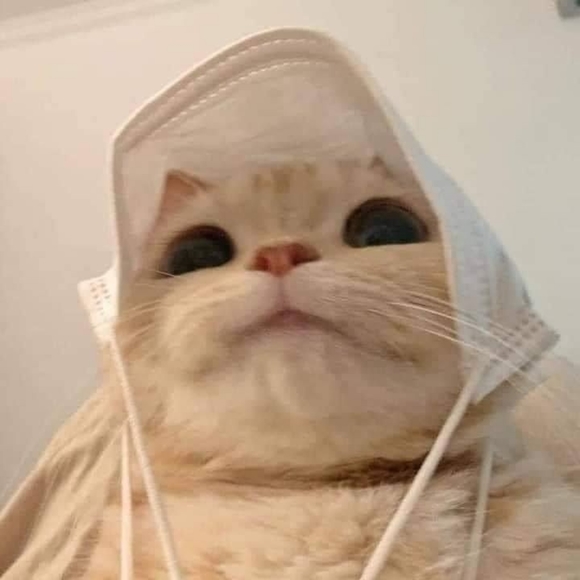 Meet your Posher, Erika - Picture 2 of 2